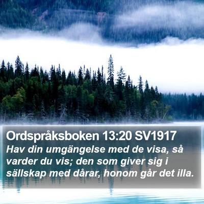 Ordspråksboken 13:20 SV1917 Bible Verse Image