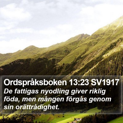 Ordspråksboken 13:23 SV1917 Bible Verse Image