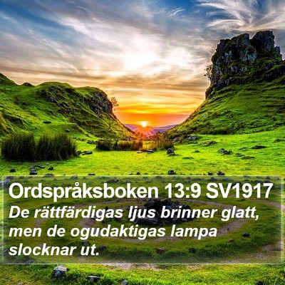 Ordspråksboken 13:9 SV1917 Bible Verse Image
