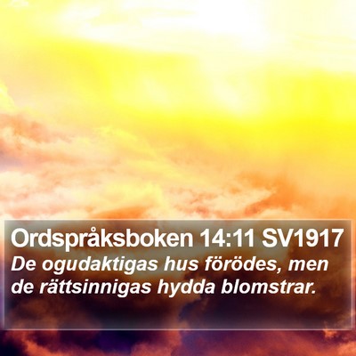 Ordspråksboken 14:11 SV1917 Bible Verse Image