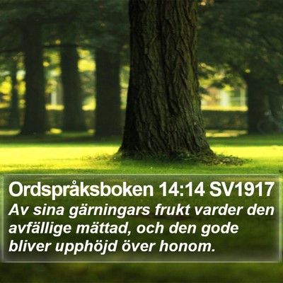 Ordspråksboken 14:14 SV1917 Bible Verse Image