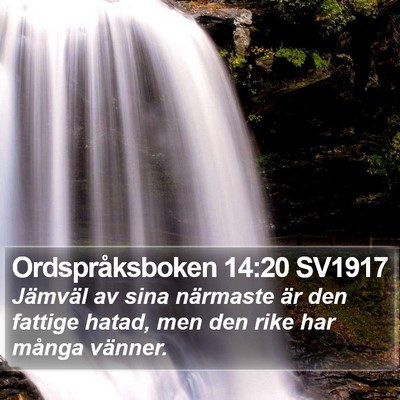 Ordspråksboken 14:20 SV1917 Bible Verse Image