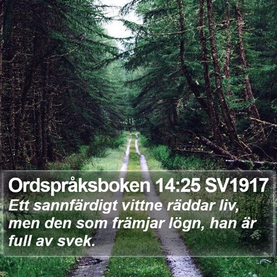 Ordspråksboken 14:25 SV1917 Bible Verse Image