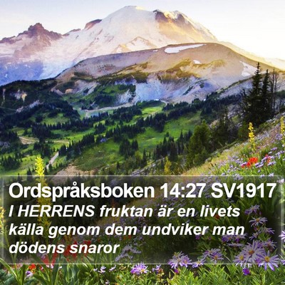 Ordspråksboken 14:27 SV1917 Bible Verse Image