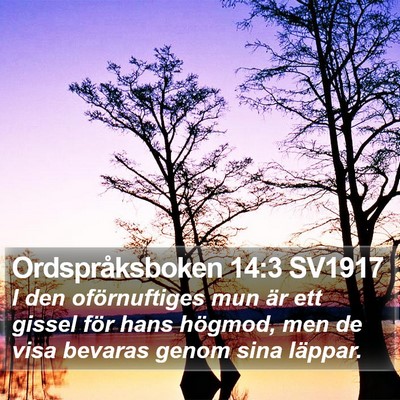 Ordspråksboken 14:3 SV1917 Bible Verse Image