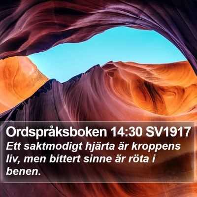 Ordspråksboken 14:30 SV1917 Bible Verse Image
