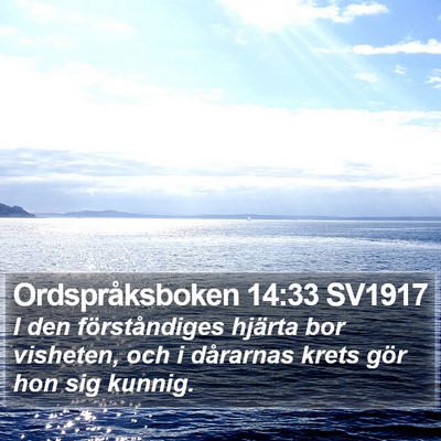 Ordspråksboken 14:33 SV1917 Bible Verse Image
