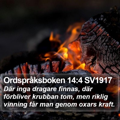 Ordspråksboken 14:4 SV1917 Bible Verse Image