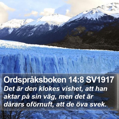 Ordspråksboken 14:8 SV1917 Bible Verse Image