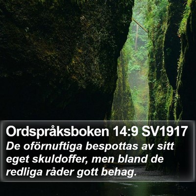 Ordspråksboken 14:9 SV1917 Bible Verse Image