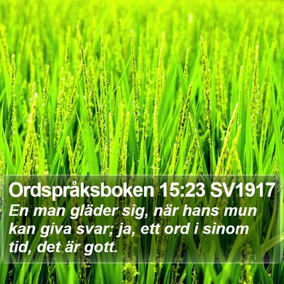 Ordspråksboken 15:23 SV1917 Bible Verse Image