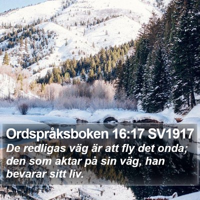Ordspråksboken 16:17 SV1917 Bible Verse Image