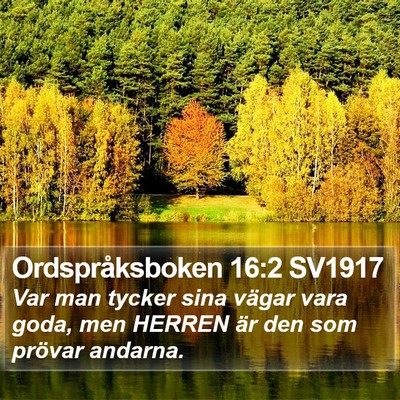 Ordspråksboken 16:2 SV1917 Bible Verse Image