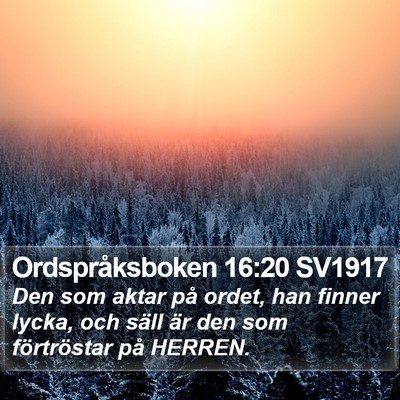 Ordspråksboken 16:20 SV1917 Bible Verse Image