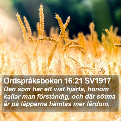 Ordspråksboken 16:21 SV1917 Bible Verse Image