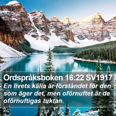 Ordspråksboken 16:22 SV1917 Bible Verse Image