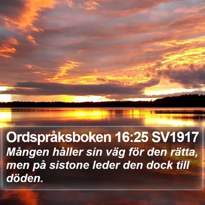 Ordspråksboken 16:25 SV1917 Bible Verse Image