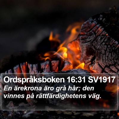 Ordspråksboken 16:31 SV1917 Bible Verse Image