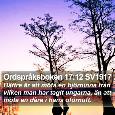 Ordspråksboken 17:12 SV1917 Bible Verse Image
