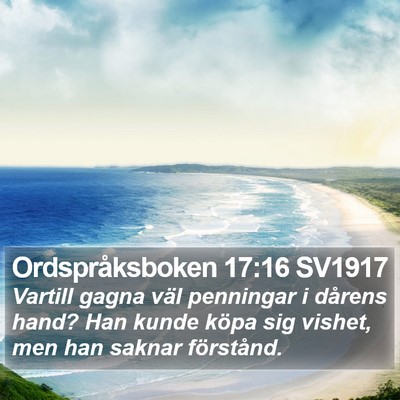 Ordspråksboken 17:16 SV1917 Bible Verse Image