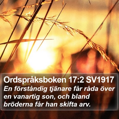 Ordspråksboken 17:2 SV1917 Bible Verse Image