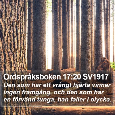 Ordspråksboken 17:20 SV1917 Bible Verse Image