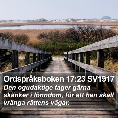 Ordspråksboken 17:23 SV1917 Bible Verse Image