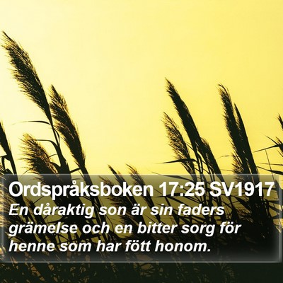 Ordspråksboken 17:25 SV1917 Bible Verse Image