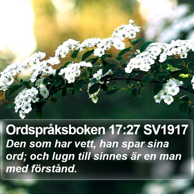 Ordspråksboken 17:27 SV1917 Bible Verse Image