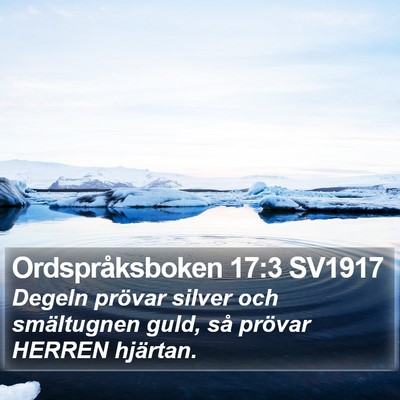 Ordspråksboken 17:3 SV1917 Bible Verse Image