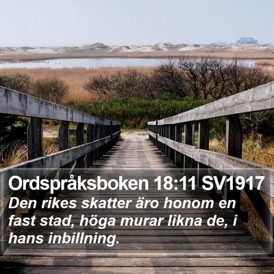 Ordspråksboken 18:11 SV1917 Bible Verse Image