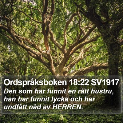Ordspråksboken 18:22 SV1917 Bible Verse Image
