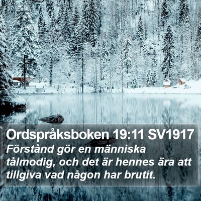 Ordspråksboken 19:11 SV1917 Bible Verse Image