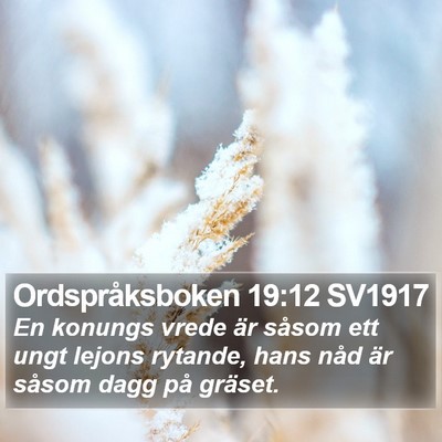 Ordspråksboken 19:12 SV1917 Bible Verse Image
