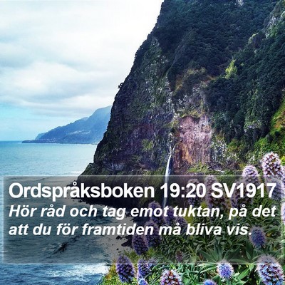 Ordspråksboken 19:20 SV1917 Bible Verse Image