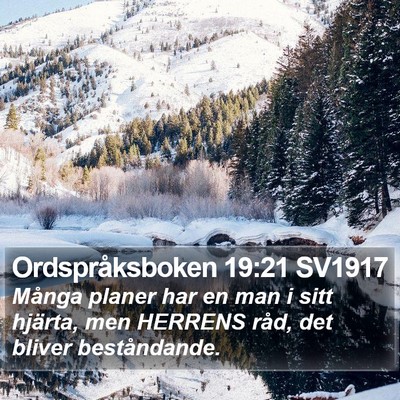 Ordspråksboken 19:21 SV1917 Bible Verse Image