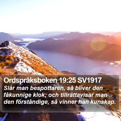 Ordspråksboken 19:25 SV1917 Bible Verse Image