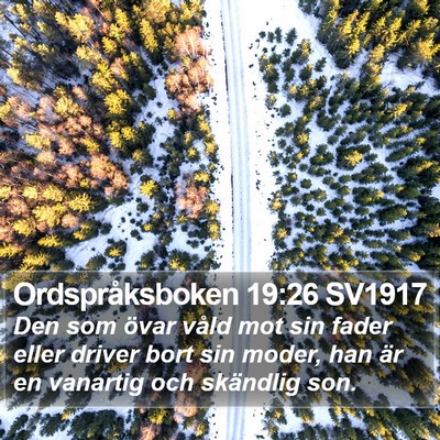 Ordspråksboken 19:26 SV1917 Bible Verse Image
