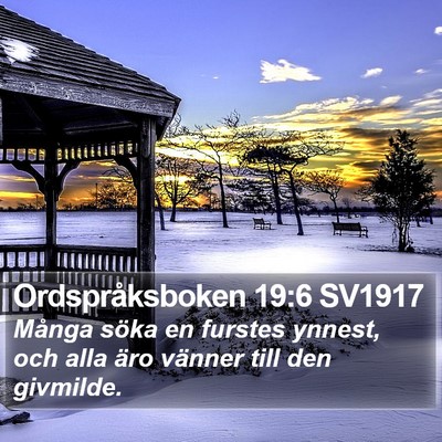 Ordspråksboken 19:6 SV1917 Bible Verse Image