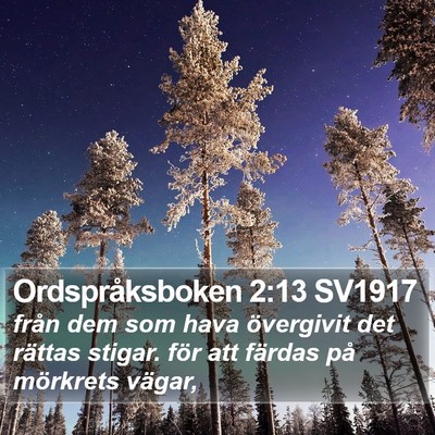 Ordspråksboken 2:13 SV1917 Bible Verse Image