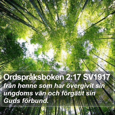 Ordspråksboken 2:17 SV1917 Bible Verse Image
