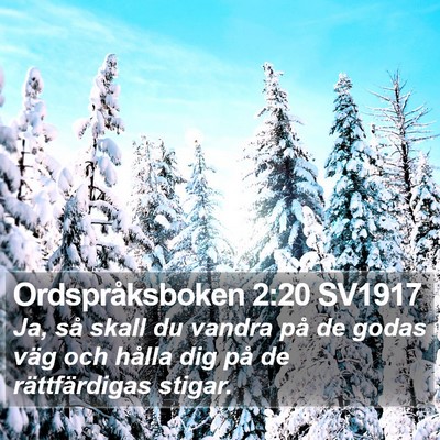 Ordspråksboken 2:20 SV1917 Bible Verse Image