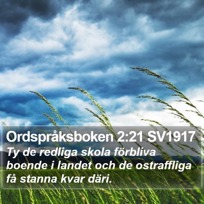 Ordspråksboken 2:21 SV1917 Bible Verse Image