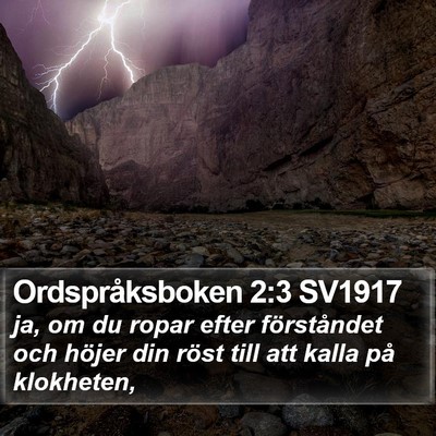 Ordspråksboken 2:3 SV1917 Bible Verse Image