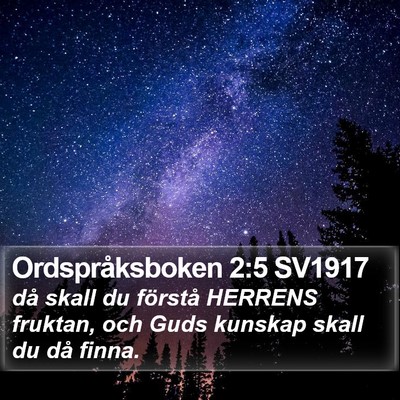 Ordspråksboken 2:5 SV1917 Bible Verse Image