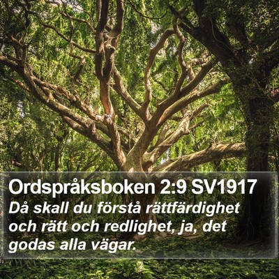 Ordspråksboken 2:9 SV1917 Bible Verse Image