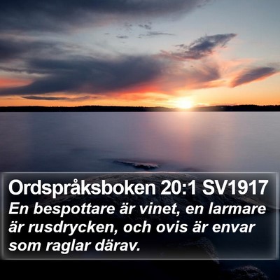 Ordspråksboken 20:1 SV1917 Bible Verse Image