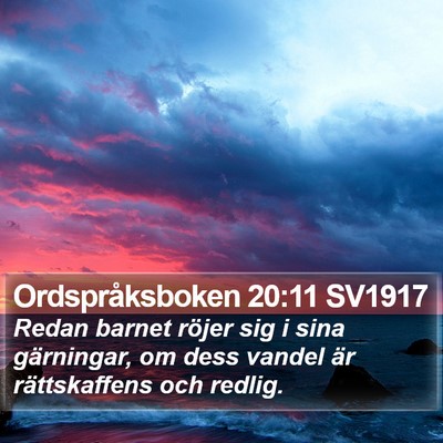 Ordspråksboken 20:11 SV1917 Bible Verse Image
