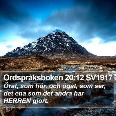 Ordspråksboken 20:12 SV1917 Bible Verse Image