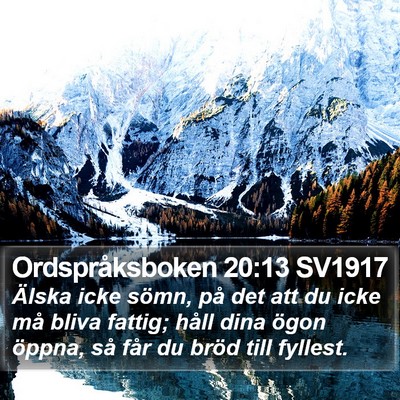 Ordspråksboken 20:13 SV1917 Bible Verse Image
